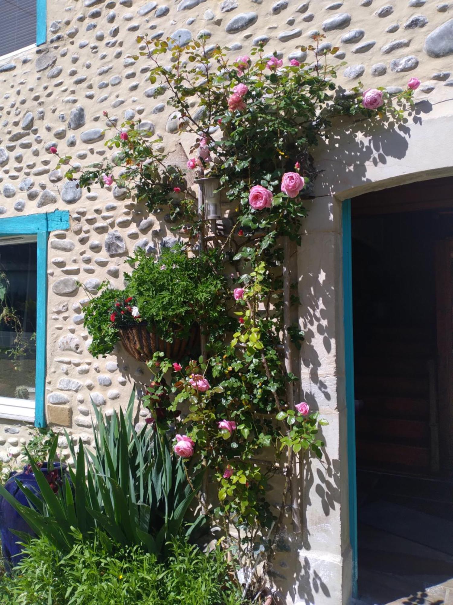 Maison Mignaquy Charritte-de-Bas Buitenkant foto